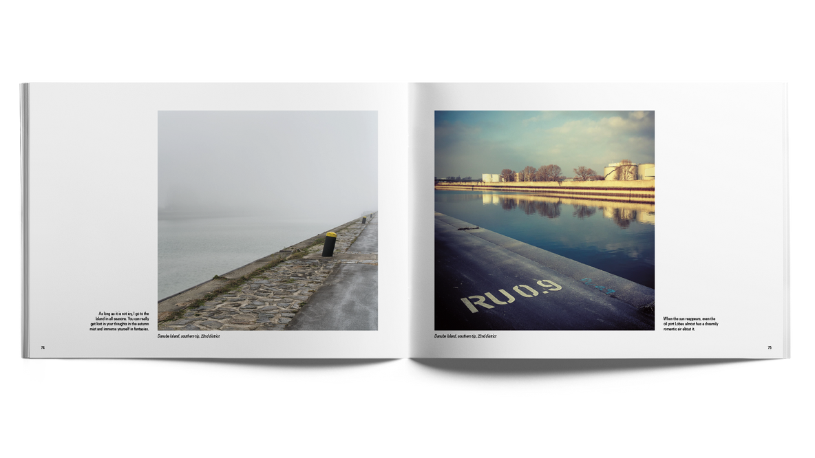 Pergraphica Detail 2