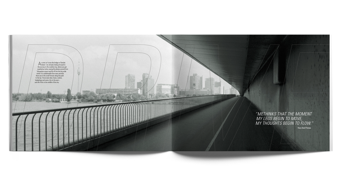 Pergraphica Detail 4